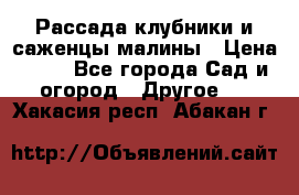 Рассада клубники и саженцы малины › Цена ­ 10 - Все города Сад и огород » Другое   . Хакасия респ.,Абакан г.